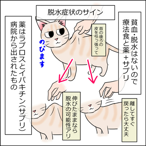 あんこ＆麦kenko68b