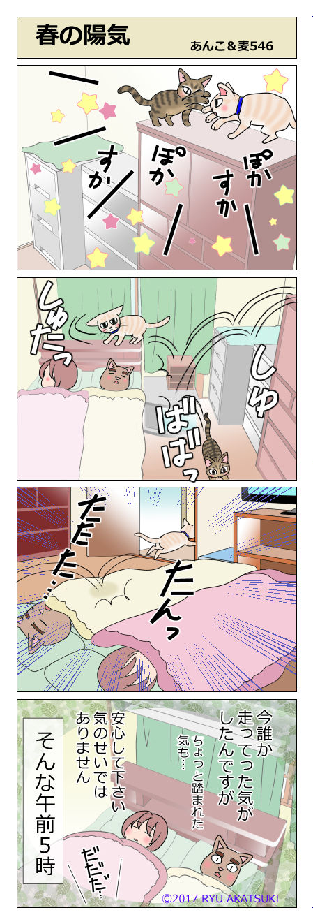 あんこ＆麦STORY546