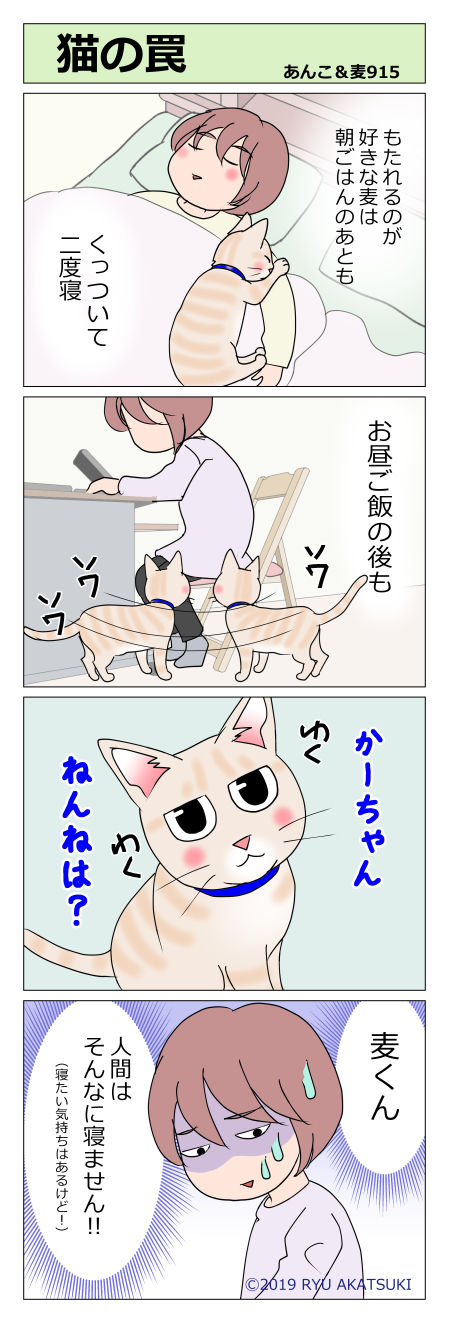 あんこ&麦STORY915