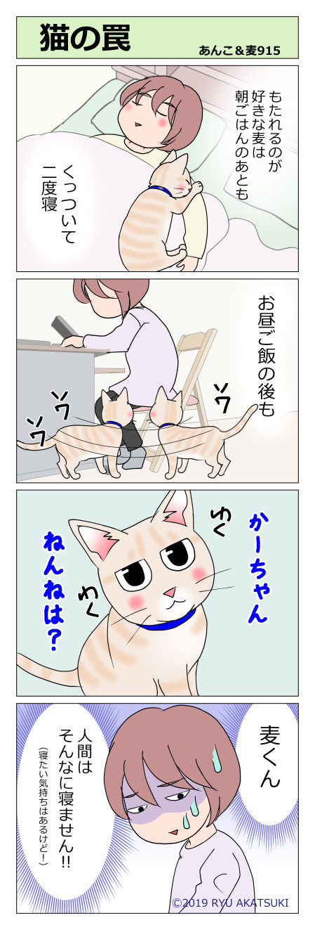 あんこ＆麦STORY915