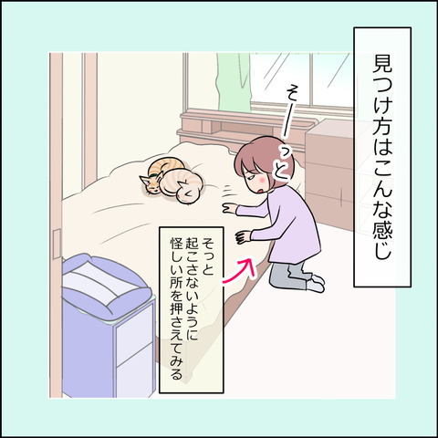 あんこ&麦STORY1841e