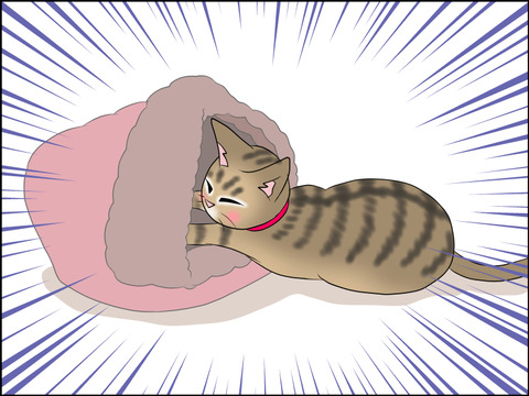 あんこ&麦STORY1482c