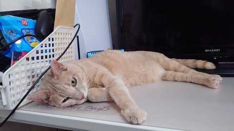 20240725_130628_Original