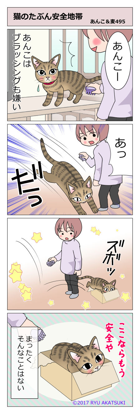 あんこ&麦STORY495