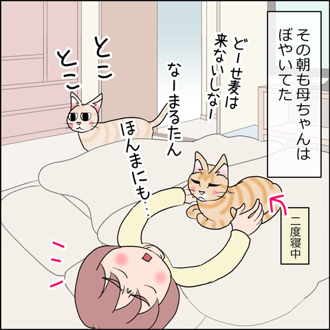 あんこ＆麦STORY2391a