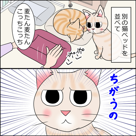 あんこ＆麦STORY2034b