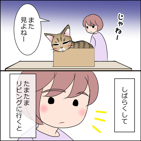 あんこ＆麦STORY2012b