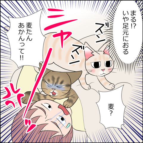 あんこ＆麦STORY2228d