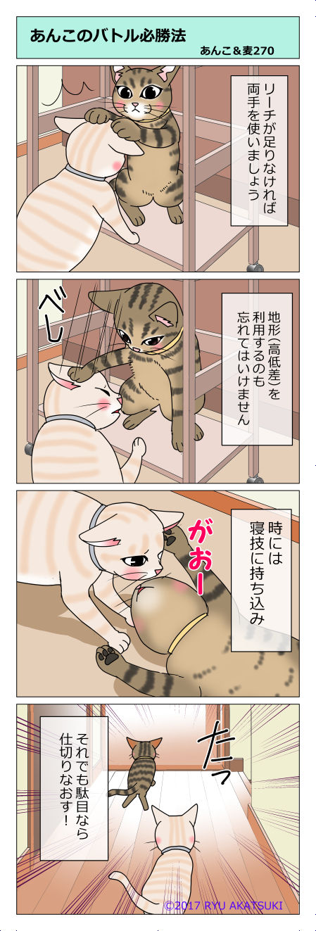 あんこ&麦STORY270