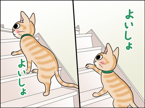 あんこ＆麦STORY1627c