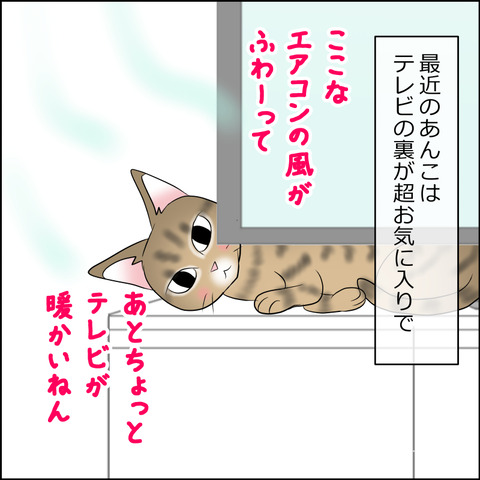 あんこ＆麦STORY2124a