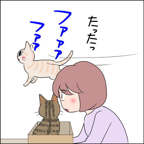 あんこ＆麦STORY1888c