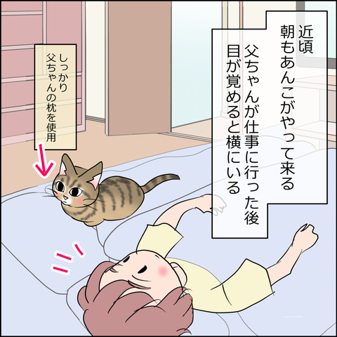 あんこ&麦STORY2483a