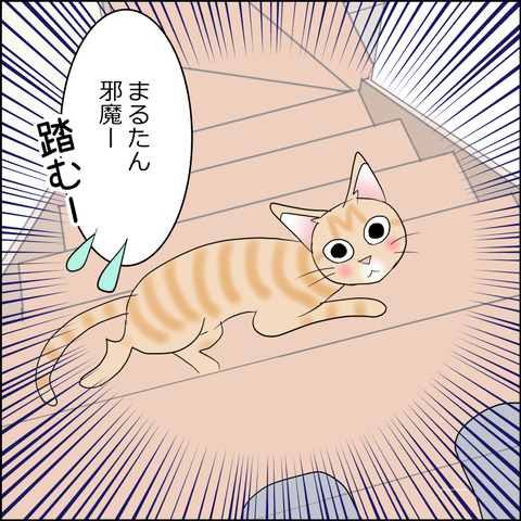 あんこ＆麦STORY2335b