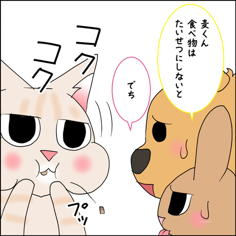 mugitabix025b