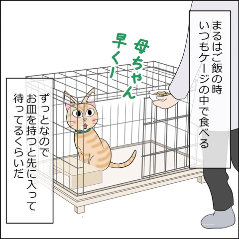 あんこ&麦STORY2294a