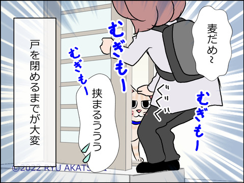 あんこ&麦STORY1623d