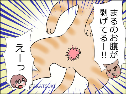 あんこ&麦kenko33d