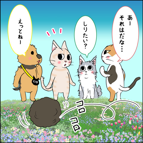 mugitabix008c