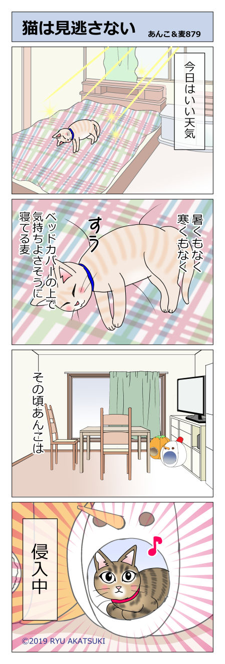 あんこ＆麦STORY879