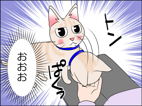 あんこ&麦STORY1466b