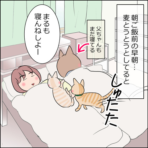 あんこ＆麦STORY1743a