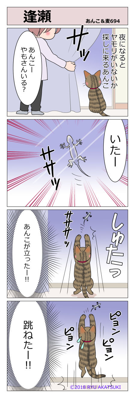 あんこ&麦STORY694