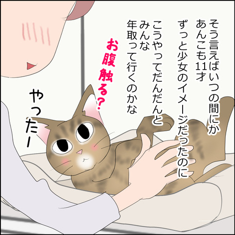 あんこ&麦STORY2359d