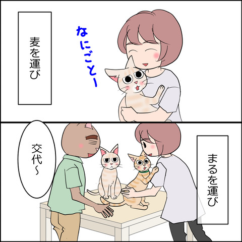 あんこ＆麦STORY2165b