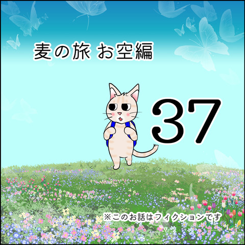 mugitabix037@