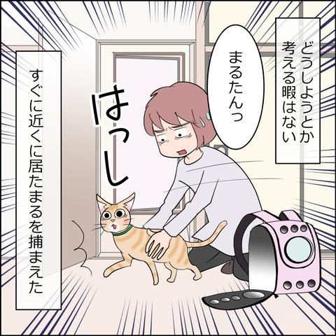 hinan004a