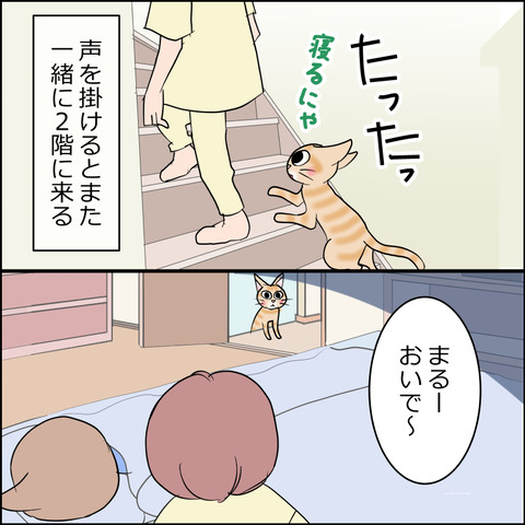あんこ＆麦STORY2468e