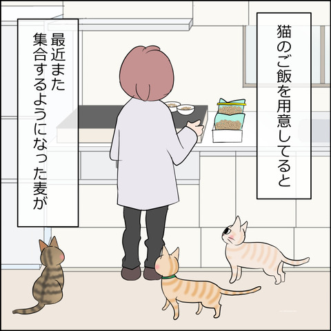 あんこ＆麦STORY2270a