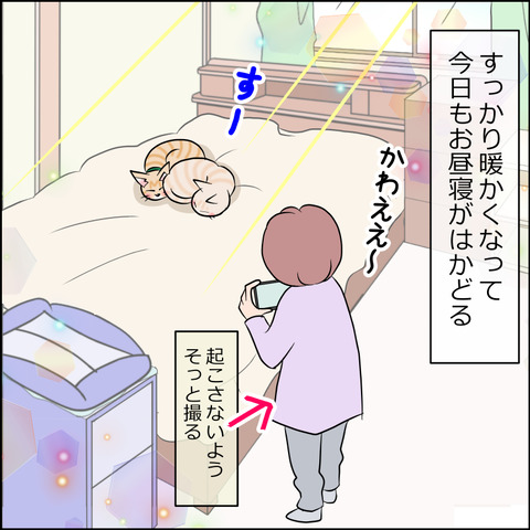 あんこ&麦STORY1841a