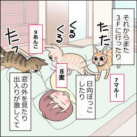 あんこ&麦STORY1983c