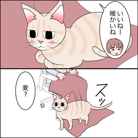 あんこ＆麦STORY2237c