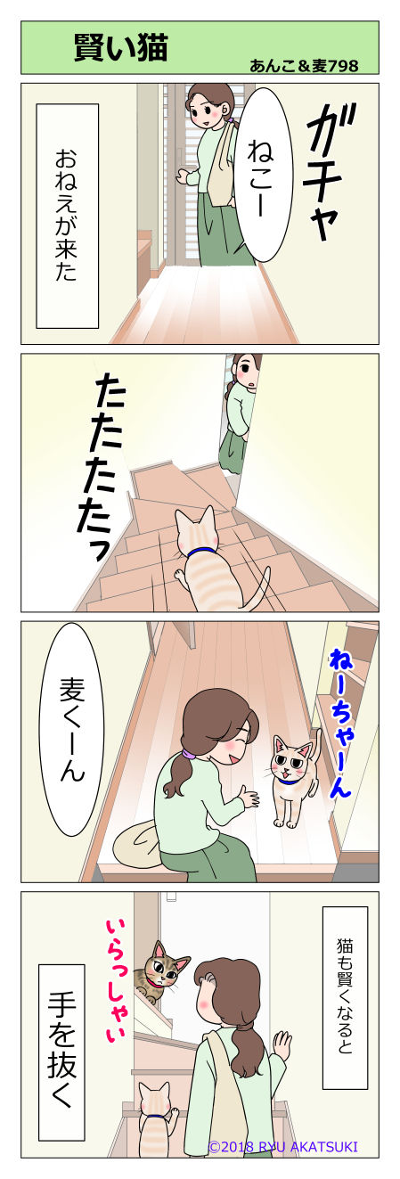 あんこ&麦STORY798