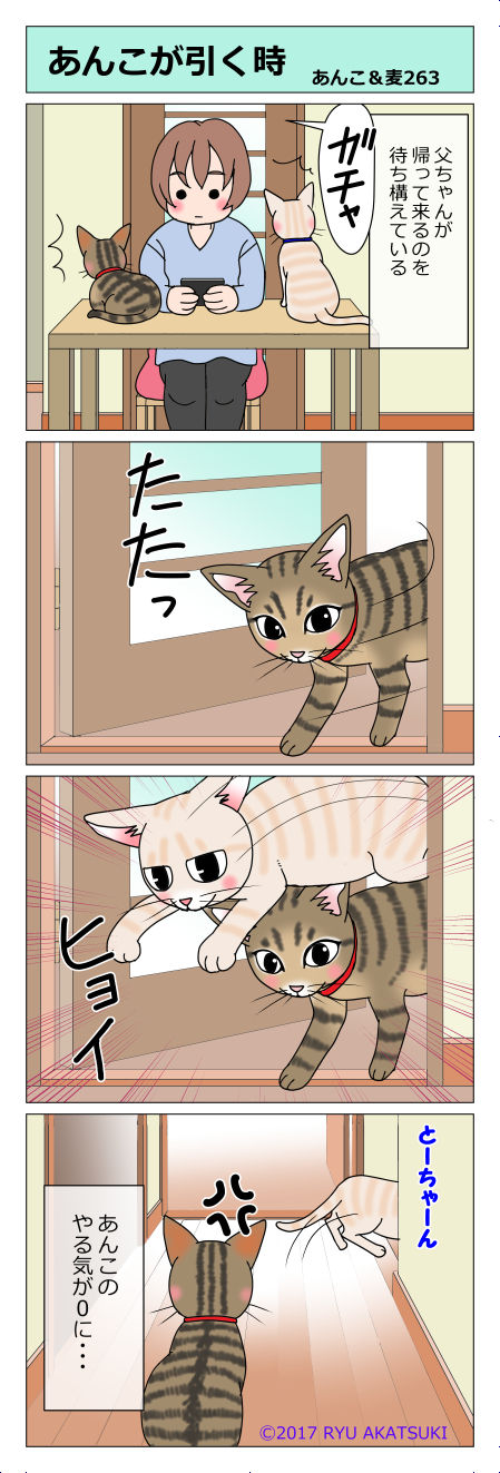 あんこ&麦STORY263