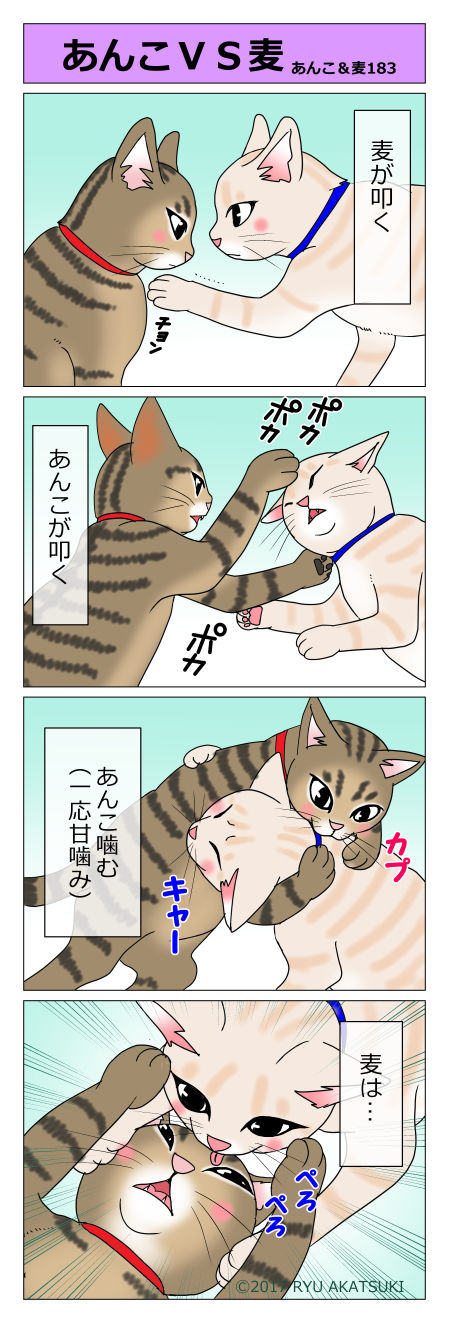 あんこ＆麦STORY183