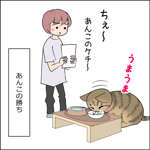 あんこ&麦STORY2473f
