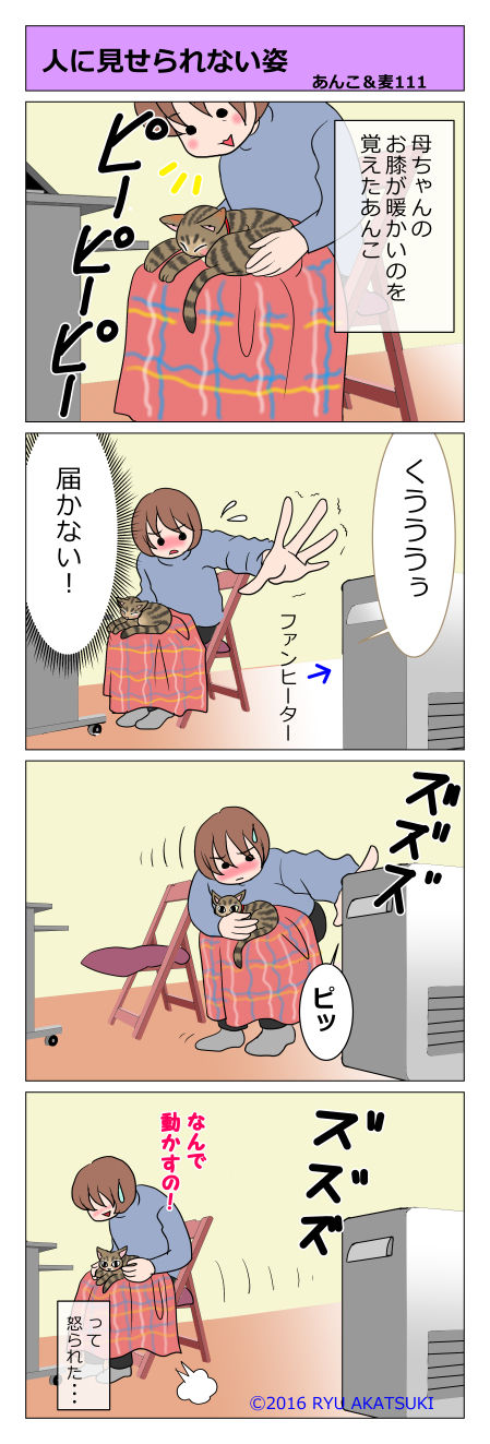 あんこ&麦STORY111