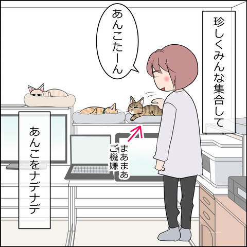 あんこ＆麦STORY2281a