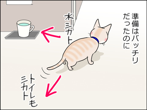 あんこ&麦kenko28b