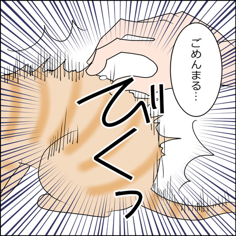 あんこ＆麦STORY2462c