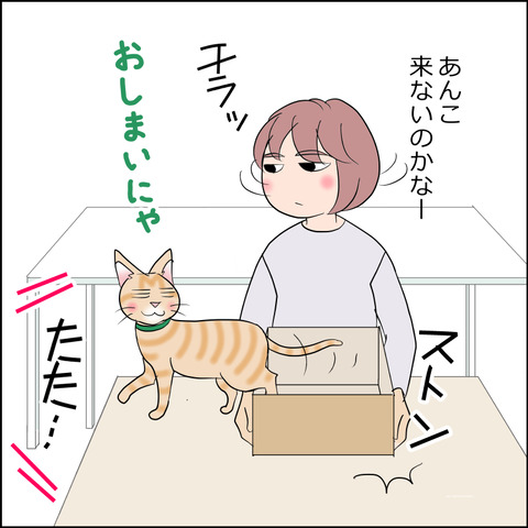 あんこ＆麦STORY2214f