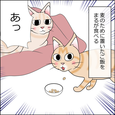 あんこ＆麦STORY2415a