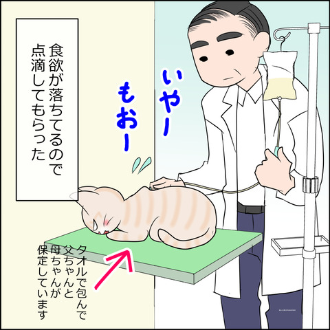 あんこ＆麦kenko99a