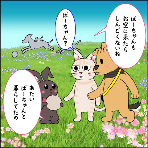 mugitabix012c