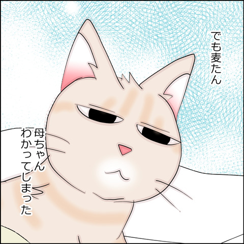 mugitabi026b
