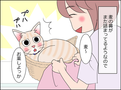 あんこ&麦STORY1437a